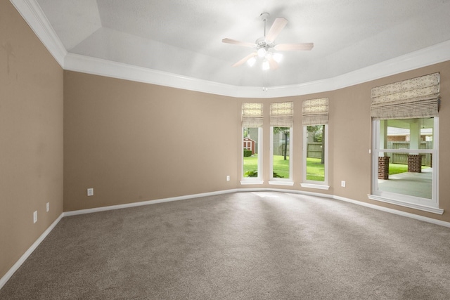 31406 Spica St, Tomball, TX 77375 - spare room featuring a tray ceiling, ornamental molding, a ceiling fan, and carpet floors
