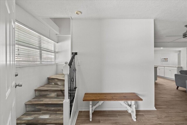 218 Barracuda St, Bayou Vista, TX 77563 - photo 17
