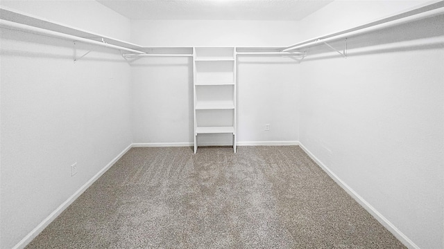 2414 Stillmeadow Dr, Missouri City, TX 77489 - walk in closet featuring carpet flooring