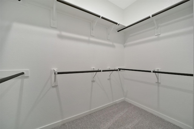 2556 Newport Breeze Dr, Katy, TX 77493 - spacious closet with carpet flooring