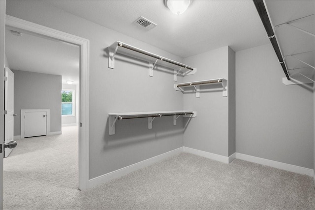 5000 Boreas Dr, Alvin, TX 77511 - walk in closet with carpet flooring