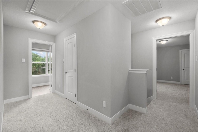 5000 Boreas Dr, Alvin, TX 77511 - hallway with attic access and carpet flooring
