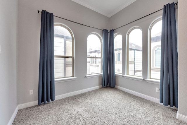 1025 W 21st St Unit C, Houston, TX 77008 - empty room with carpet floors, crown molding, and plenty of natural light