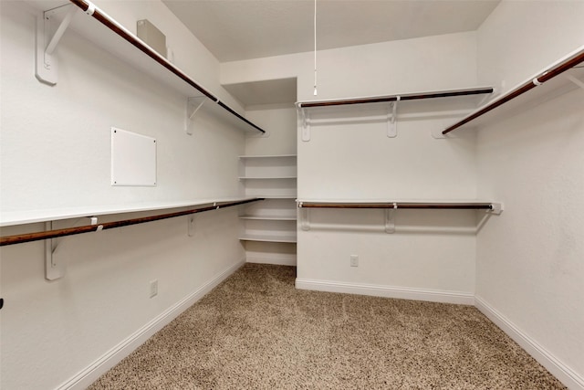 1025 W 21st St Unit C, Houston, TX 77008 - walk in closet with carpet