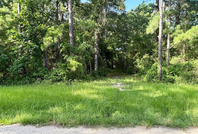 139 Oak Ridge St, Huntington, TX 75949 - photo 2