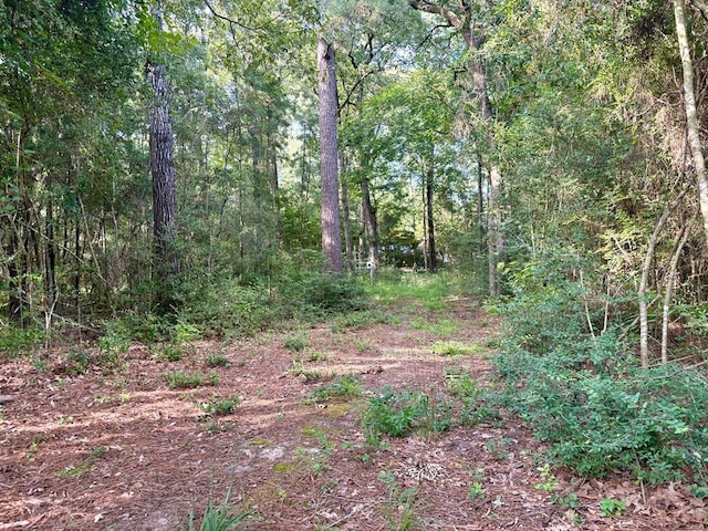 139 Oak Ridge St, Huntington, TX 75949 - photo 4