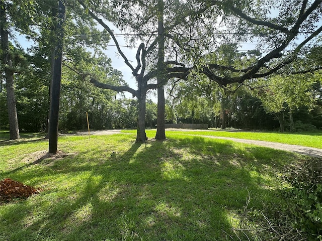 314 Forest Cove Dr, Houston, TX 77339