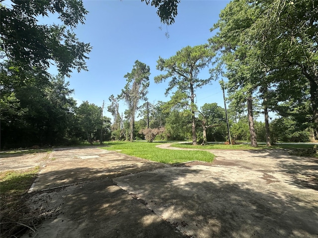 314 Forest Cove Dr, Houston, TX 77339