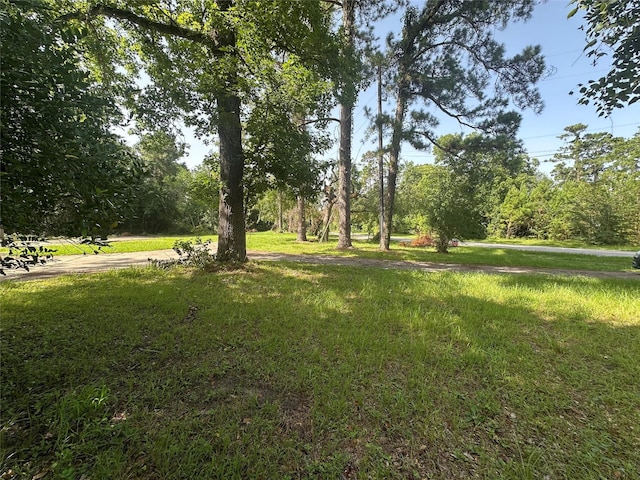 314 Forest Cove Dr, Houston, TX 77339