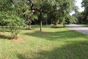 314 Forest Cove Dr, Houston, TX 77339