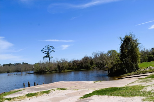 314 Forest Cove Dr, Houston, TX 77339