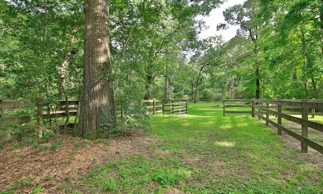 37510 Pinwood Ct, Magnolia, TX 77354 - photo 43