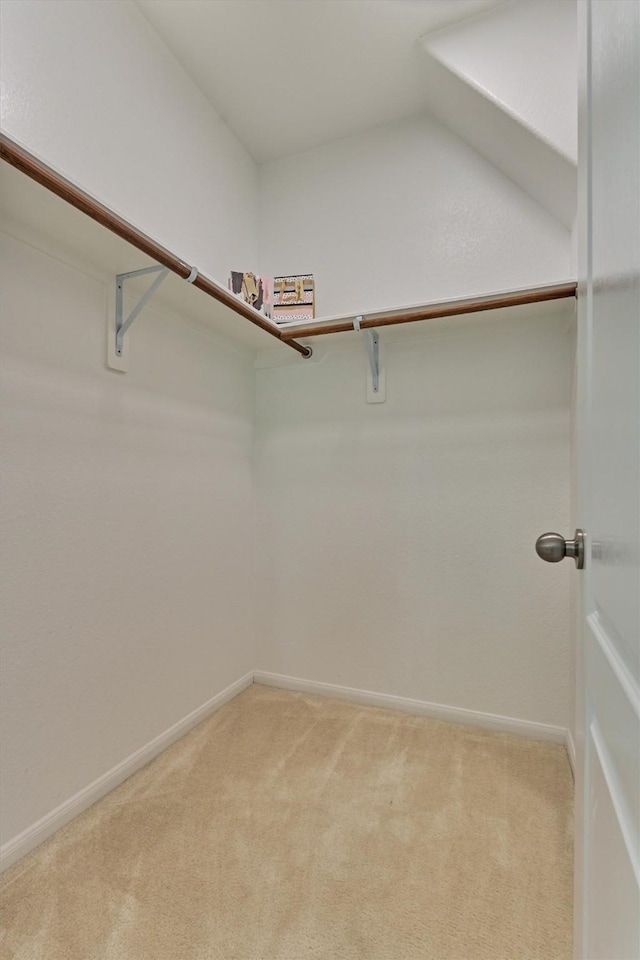 135 Forest Heights Way, Montgomery, TX 77316 - walk in closet with light colored carpet