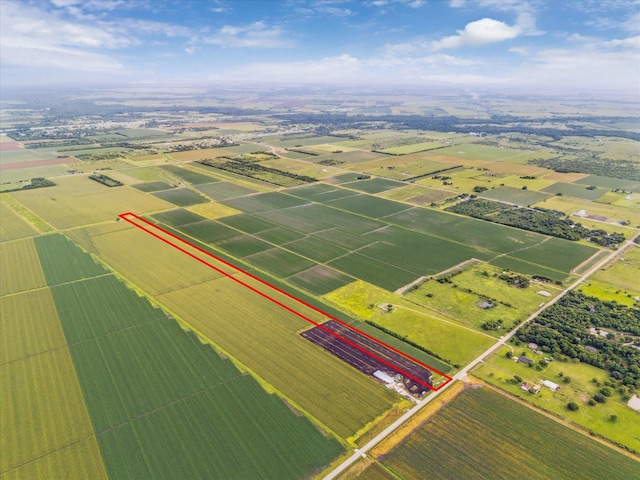 12725 Powell Point School Rd, Beasley, TX 77417 - photo 4