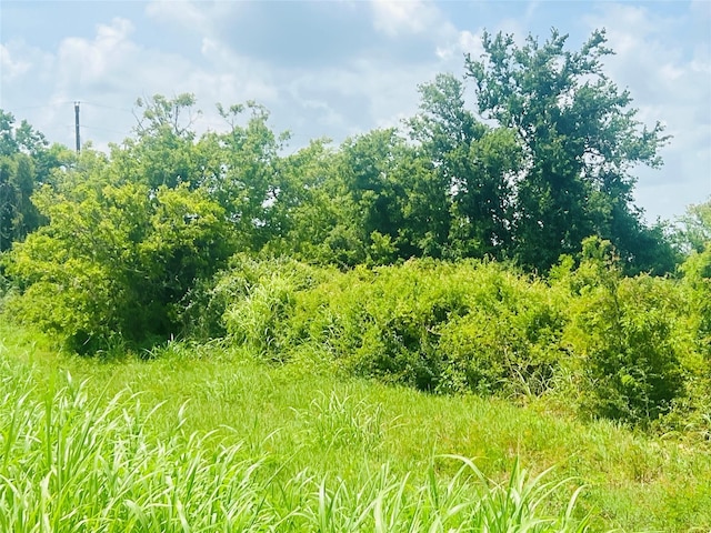 0 Fm-457, Cedar Lane, TX 77415