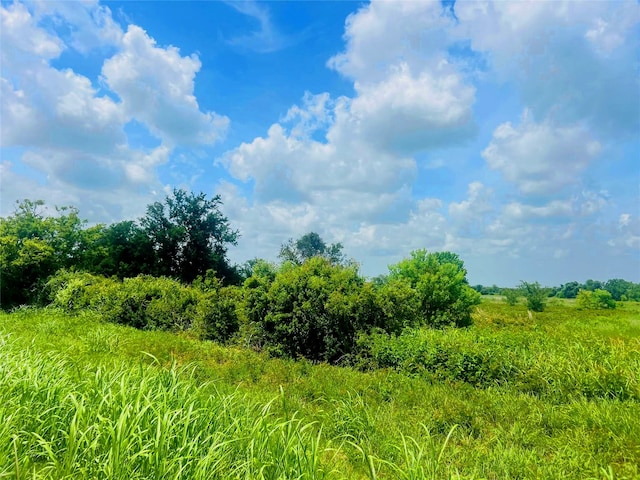 0 Fm-457, Cedar Lane, TX 77415