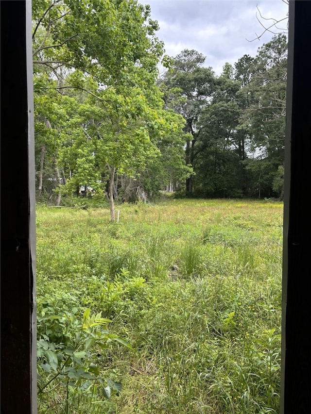 12622 Lewis Rd, Cleveland, TX 77328