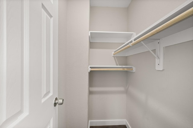 6313 Sandra St, Houston, TX 77028 - view of spacious closet