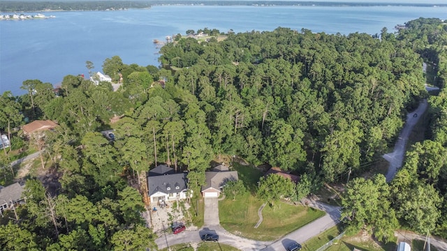 165 Magnolia Bend Ln, Onalaska, TX 77360 - photo 1