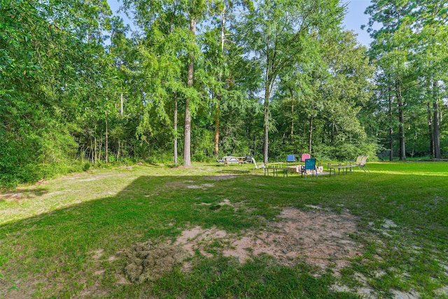 165 Magnolia Bend Ln, Onalaska, TX 77360 - photo 39
