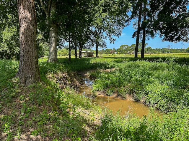 0 Fm 3179, Huntsville, TX 77340 - photo 21