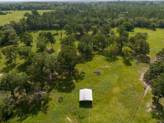 0 Fm 3179, Huntsville, TX 77340 - photo 23