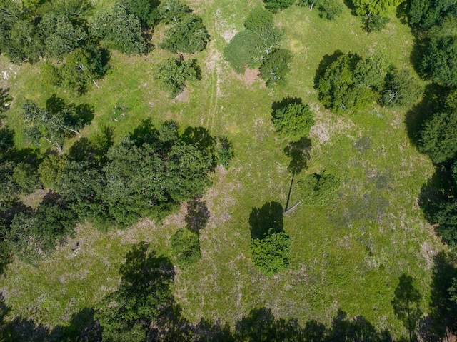 0 Fm 3179, Huntsville, TX 77340 - photo 25