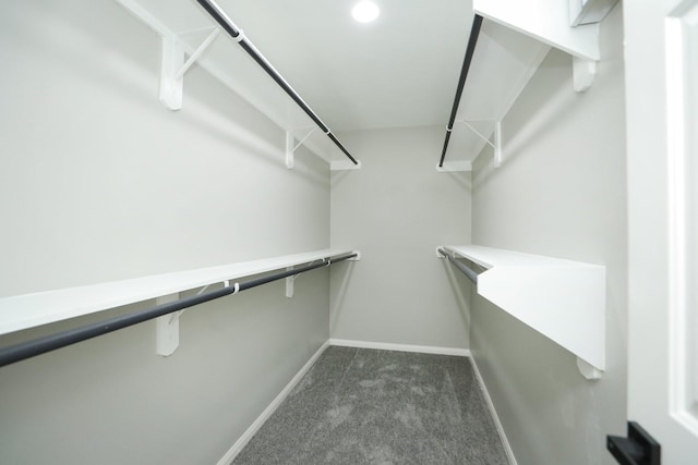 2522 Cardinal Elm St, Fresno, TX 77545 - spacious closet featuring dark carpet