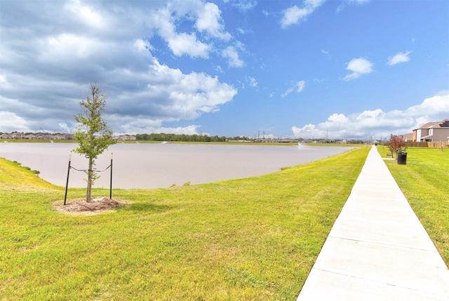 1223 Rosemead Dr, Rosharon, TX 77583 - photo 41