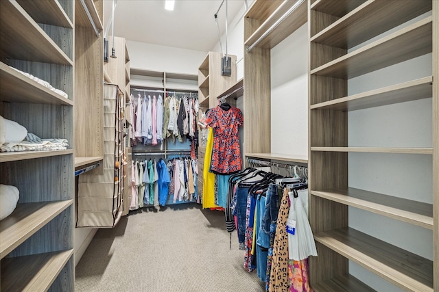18311 Windspring Falls Ln, Cypress, TX 77433 - walk in closet featuring carpet flooring