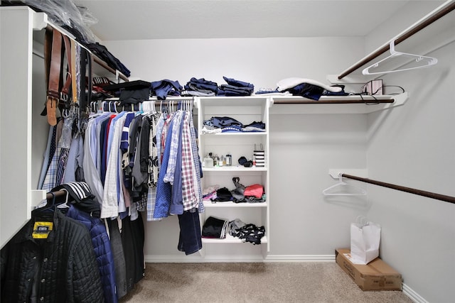 21283 Lily Springs Dr, Porter, TX 77365 - spacious closet with carpet floors