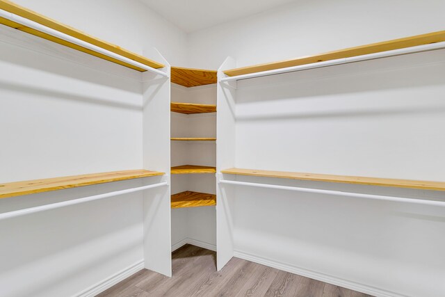 220 Tortuga Way, Point Blank, TX 77364 - spacious closet with light wood-style flooring