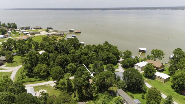 220 Tortuga Way, Point Blank, TX 77364 - aerial view of residential area with a large body of water