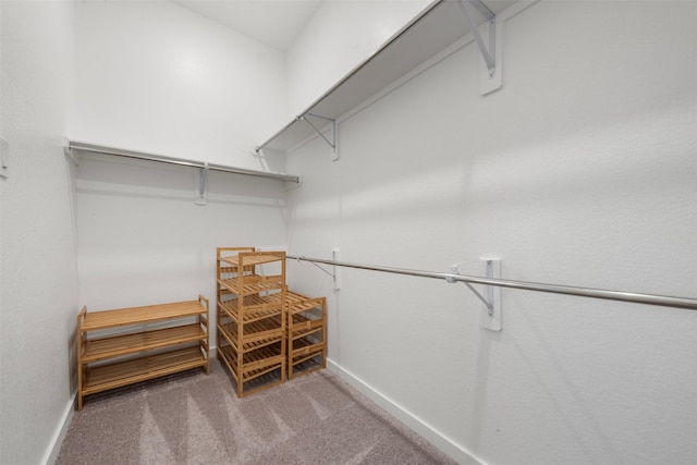 19911 Curved Steel Dr, Cypress, TX 77433 - spacious closet with carpet