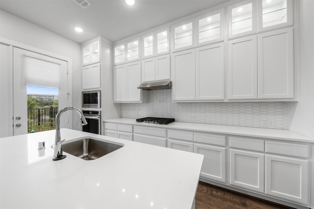19911 Curved Steel Dr, Cypress, TX 77433 - kitchen featuring under cabinet range hood, appliances with stainless steel finishes, white cabinets, decorative backsplash, and light countertops