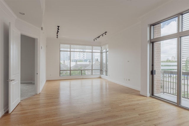2211 Briarglen Dr Unit 502, Houston, TX 77027 - empty room featuring track lighting, plenty of natural light, ornamental molding, and light wood-type flooring