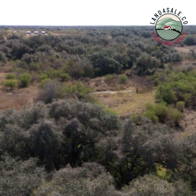 2861 Fm 446, Victoria, TX 77905 - photo 4