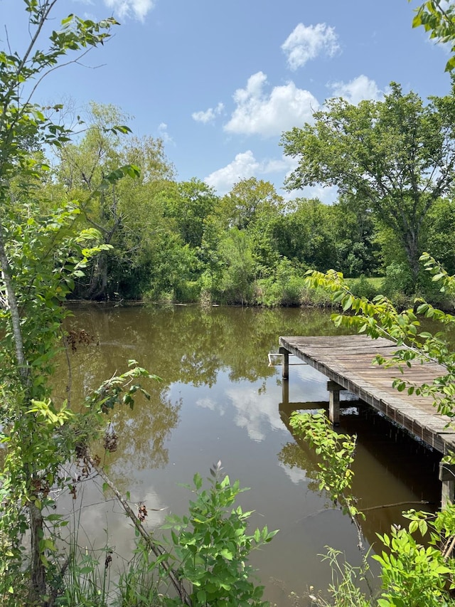 00 County Road-206, Alvin, TX 77511