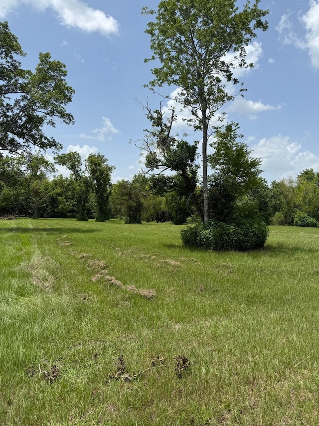00 County Road-206, Alvin, TX 77511