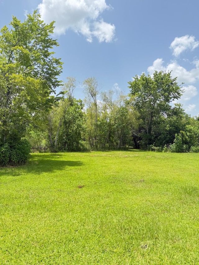 00 County Road-206, Alvin, TX 77511