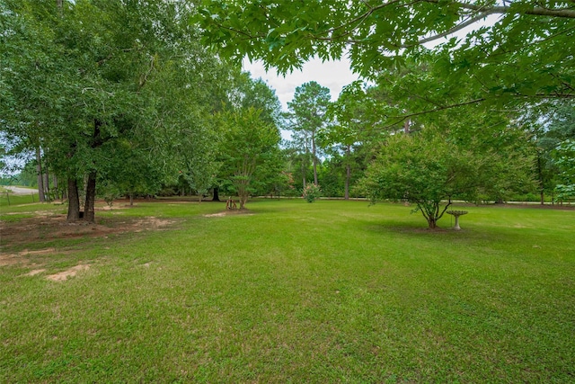 602 Fm 2693rd Rd E, New Waverly, TX 77358 - photo 34