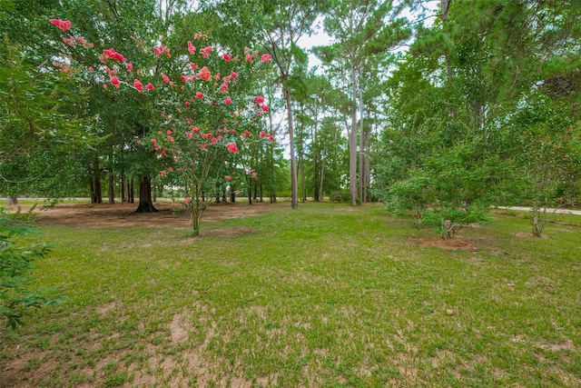 602 Fm 2693rd Rd E, New Waverly, TX 77358 - photo 38