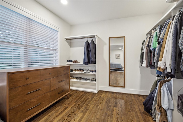 10707 Moonlight Dr, Houston, TX 77096 - walk in closet with dark wood-style floors