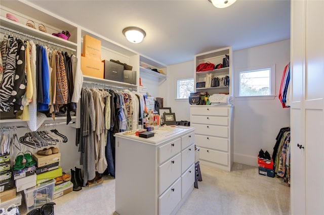 5531 Pine St Unit H, Houston, TX 77081 - spacious closet with light carpet