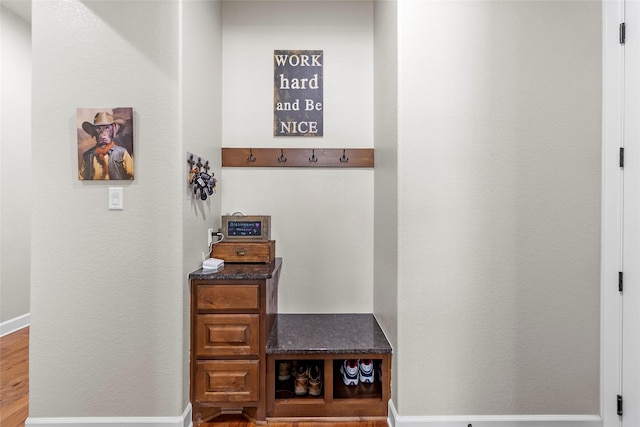 2928 San Milan Pass, Round Rock, TX 78665 - mudroom with baseboards and wood finished floors