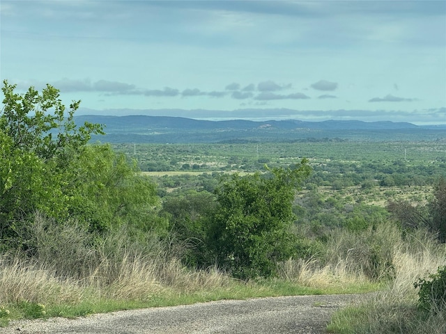 1130 Crownover Ln, Round Mountain, TX 78663 - photo 4