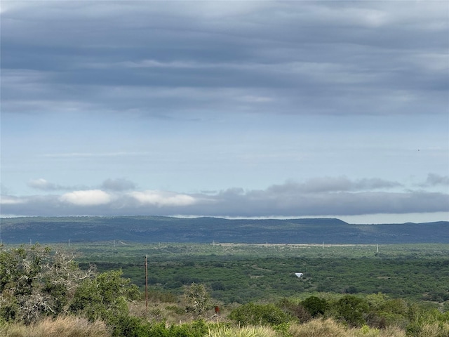1130 Crownover Ln, Round Mountain, TX 78663 - photo 6