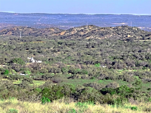 1130 Crownover Ln, Round Mountain, TX 78663 - photo 9