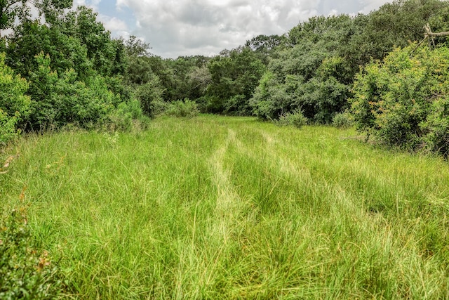1865 County Road 114, Garwood, TX 77442 - photo 15