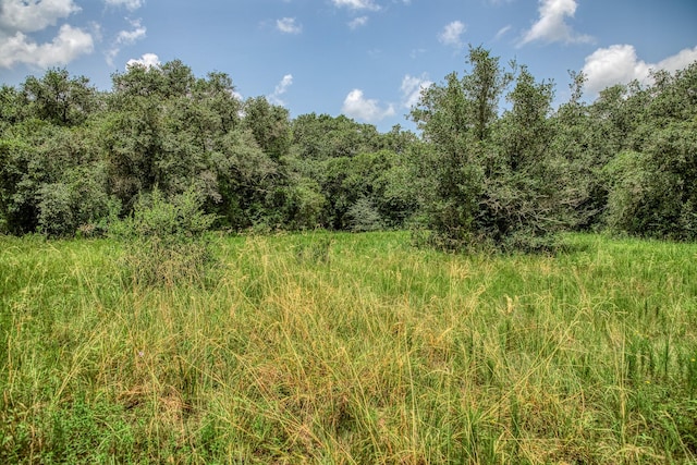 1865 County Road 114, Garwood, TX 77442 - photo 18